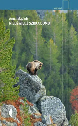 Okładka: Niedźwiedź szuka domu