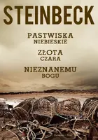 Okładka: Pastwiska Niebieskie, Złota Czara, Nieznanemu bogu