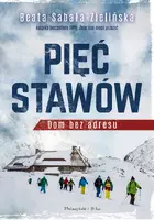 Okładka: Pięć Stawów
