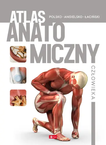 Okładka: Atlas anatomiczny człowieka