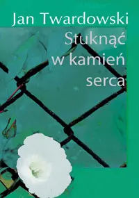 Okładka: Stuknąć w kamień serca