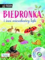Okładka: Biedronka i inni mieszkańcy łąki