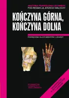 Okładka: Anatomia prawidłowa człowieka. Kończyna górna, kończyna dolna