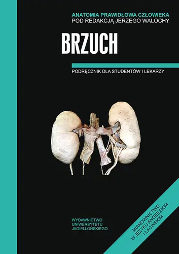 Okładka: Anatomia prawidłowa człowieka. Brzuch