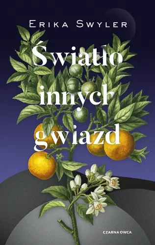 Okładka: Światło innych gwiazd