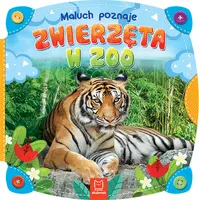 Okładka: Maluch poznaje. Zwierzęta w zoo