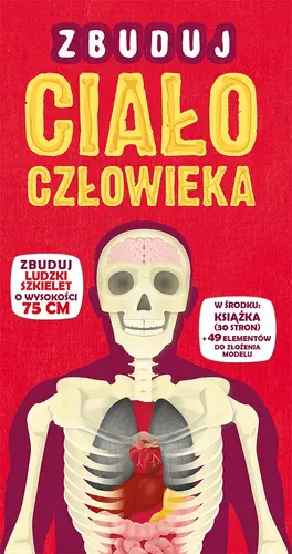 Okładka: Zbuduj ciało człowieka
