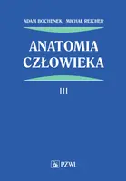 Okładka: Anatomia człowieka. Tom 3