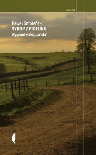 Okładka: Syrop z piołunu