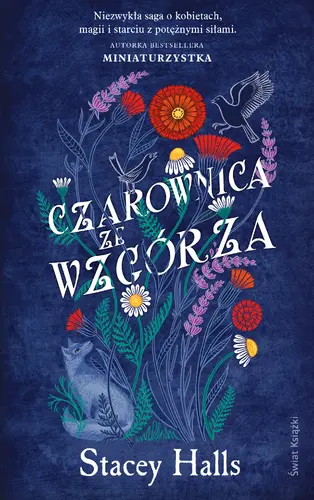Okładka: Czarownica ze wzgórza