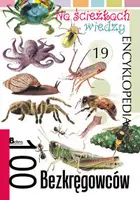 Okładka: 100 bezkręgowców. Na ścieżkach wiedzy