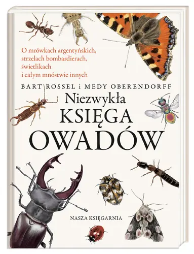 Okładka: Niezwykła księga owadów