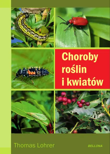 Okładka: Choroby roślin i kwiatów