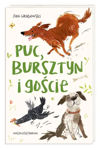 Okładka: Puc, Bursztyn i goście