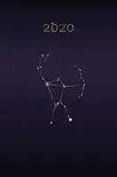 Okładka: Kalendarz 2020. Astronomiczny
