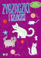 Okładka: Zygzaczki i szlaczki (fioletowe)