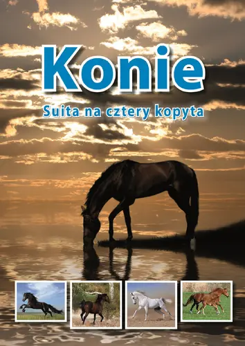 Okładka: Konie. Suita na cztery kopyta