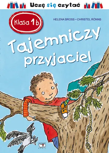 Okładka: Tajemniczy przyjaciel