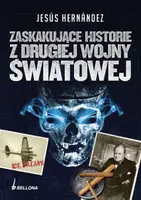 Okładka: Zaskakujące historie z drugiej wojny światowej