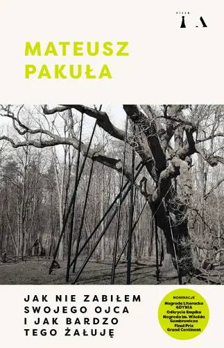 Okładka: Jak nie zabiłem swojego ojca i jak bardzo tego żałuję