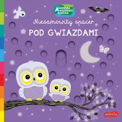 Okładka: Pod gwiazdami. Akademia mądrego dziecka. Niesamowity spacer