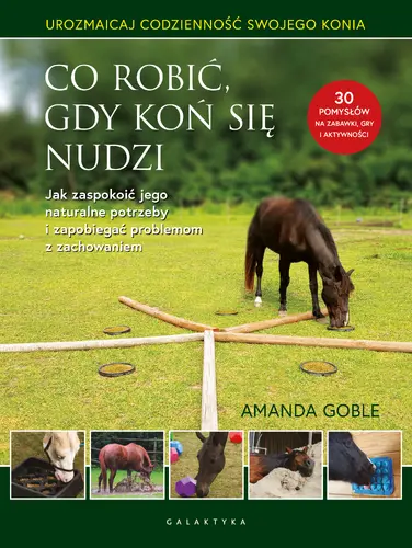 Okładka: Co robić, gdy koń się nudzi