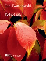 Okładka: Polski rok