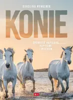 Okładka: Konie