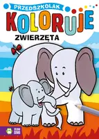 Okładka: Przedszkolak koloruje. Zwierzęta