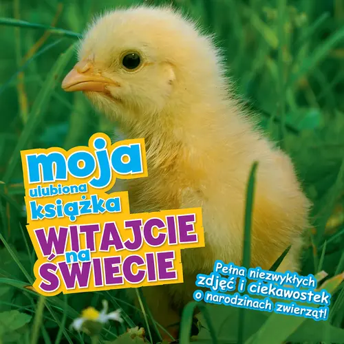 Okładka: Witajcie na świecie