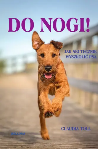 Okładka: Do nogi! Jak skutecznie wyszkolić psa