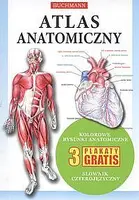 Okładka: Atlas anatomiczny
