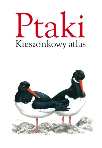 Okładka: Ptaki. Kieszonkowy atlas