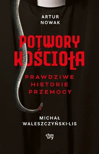 Okładka: Potwory Kościoła. Prawdziwe historie przemocy