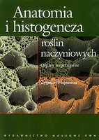 Okładka: Anatomia i histogeneza roślin naczyniowych