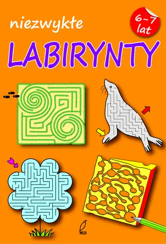 Okładka: Labirynty. Zeszyt 1
