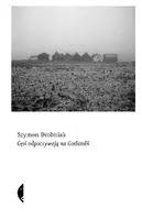 Okładka: Gęsi odpoczywają na Gotlandii