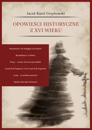 Okładka: Opowieści historyczne z XVI wieku
