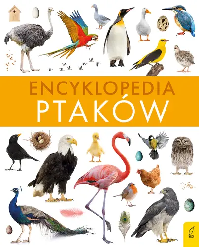 Okładka: Encyklopedia ptaków