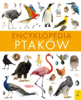 Okładka: Encyklopedia ptaków