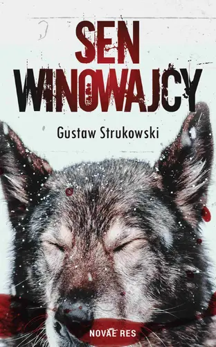 Okładka: Sen winowajcy