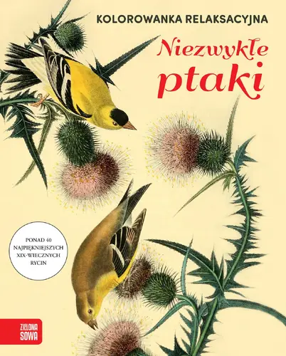 Okładka: Kolorowanka relaksacyjna. Niezwykłe ptaki