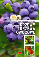 Okładka: Krzewy i drzewa owocowe. Poradnik praktyczny