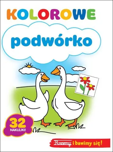 Okładka: Kolorowe podwórko