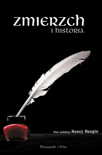 Okładka: Zmierzch i historia