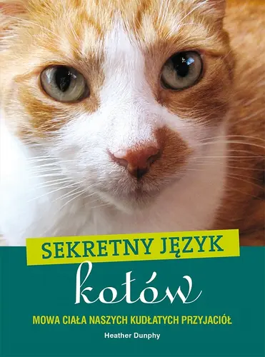 Okładka: Sekretny język kotów