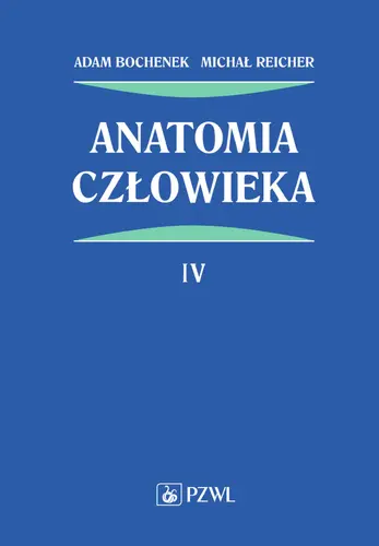 Okładka: Anatomia człowieka. Tom 4