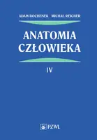 Okładka: Anatomia człowieka. Tom 4