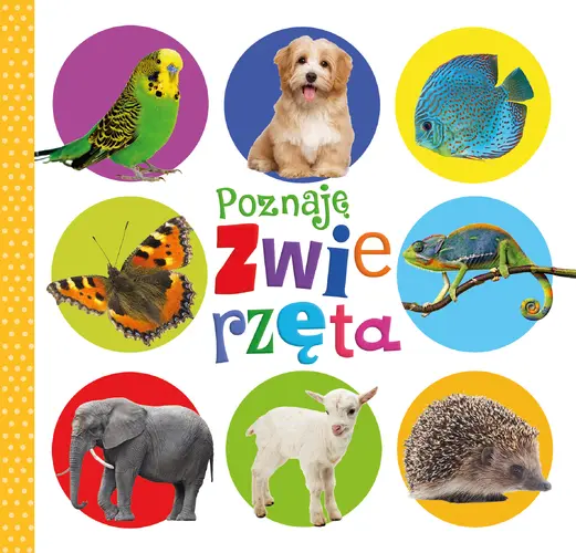 Okładka: Poznaję zwierzęta