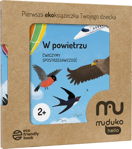 Okładka: W powietrzu